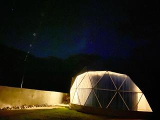 seagull oasis - Vacation STAY 20620v - 1