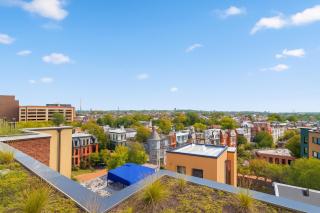 Pure Voyage Shaw - 2