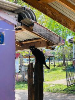 Tina's Homestay-Tadlo - 1