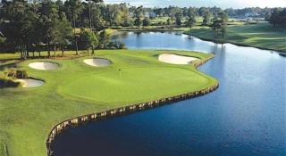 Sea Trail Golf Resort & Convention Center - 2