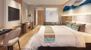 Vatica Hengshui Halixun Peace Hospital Hotel - 1