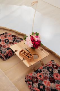 Ventricosa Jervis Bay - 2