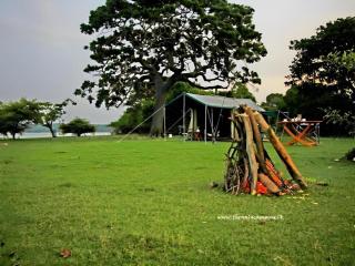 The Yala Camping - 5