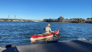 Serenity in Ryde, ferry,train & cafes around - 7