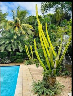 Private Villa Azure Garden with pool - 4