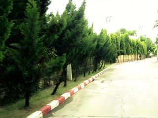 Amarin Grand Hotel - 2