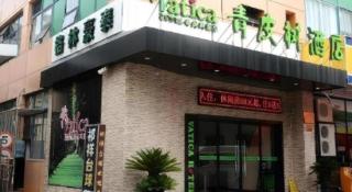 Vatica Shanghai Jiading District Anting Metro Station Moyu Road Hotel - 5