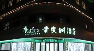 Vatica Tianjin Jinghai Bus Station Home World Plaza Hotel - 6