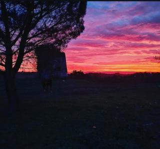 Le grand gîte du Causse - 5