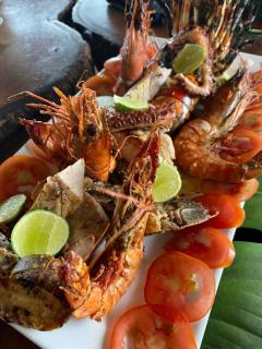 baobab Africa zanzibar - 7