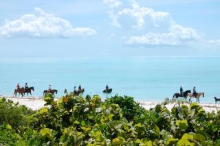 Wyakha 1 Garden View - 3