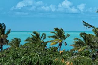 Wyakha 1 Garden View - 1