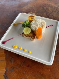 baobab Africa zanzibar - 6