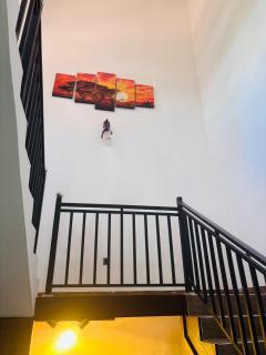 Solara Stay Dickwella - 3