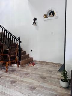 Solara Stay Dickwella - 3