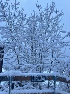 Chalet Luegistal - 2