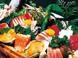 Sunshine Shirako New - 5