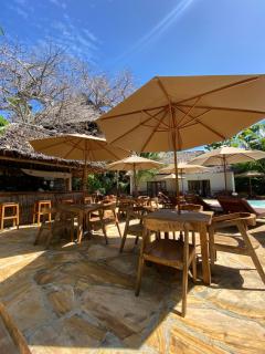 baobab Africa zanzibar - 3