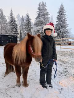 Perinteinen mökki, walking distance from centre - 8