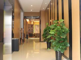 7 Days Premium Haiyan New Bridge South Road Branch - 8