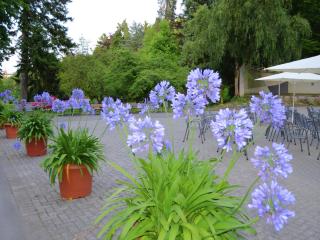 Holiday farm situated next to the Kellerwald-Edersee national park with a sunbathing lawn - 8