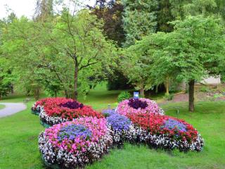 Holiday farm situated next to the Kellerwald-Edersee national park with a sunbathing lawn - 4