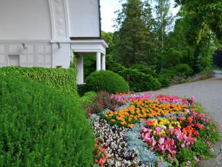 Holiday farm situated next to the Kellerwald-Edersee national park with a sunbathing lawn - 2