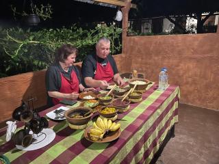 Osheen Homestay Sigiriya - 1