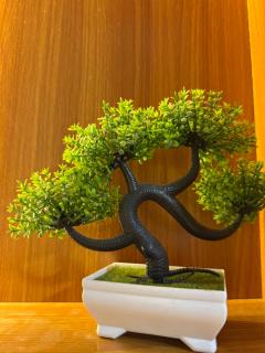 Luxifair properties Company LTD - 9