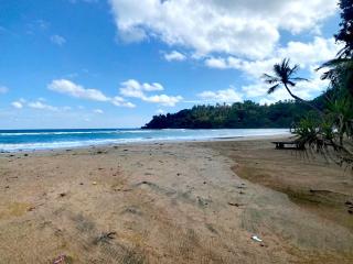 Tropical Haven Villa - 0