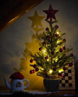 Etno Kutak Purtić - 5