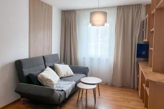 Brunnalm Blick Apartment - 6