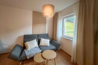 Brunnalm Blick Apartment - 8