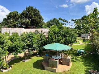 Mabamba shoebill Campsite - 4