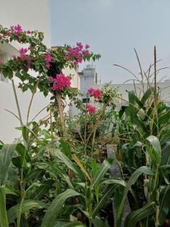 AR Homes - Coimbatore - 9