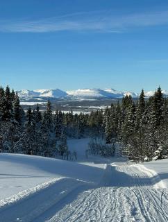 Sunny Cabin With Panoramic Views At Golsfjellet - 9