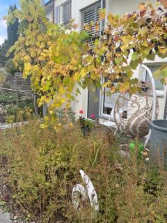 Your exclusive 2room natural holiday home - 2