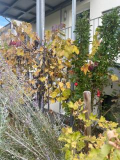 Your exclusive 2room natural holiday home - 1