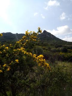 Agriturismo L'Aglientu - 7