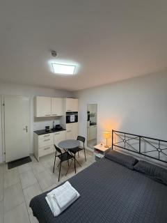 Studio in Basel, Basel Card - 1