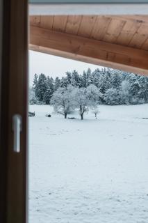 Hotel Fernblick - Bressanone - 4