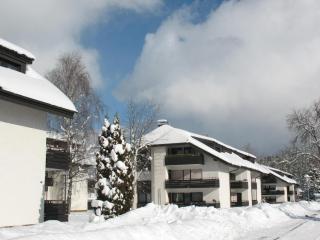 Christine mit Hochschwarzwald-Card - 5