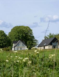 Restored Farmhouse By Møn's White Cliffs - 9
