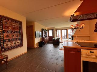 Central Apartment With Garage, Views, Ski In And Out - 9