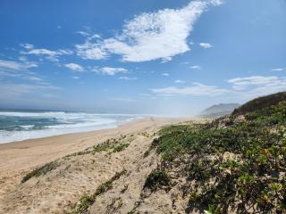 BeachHome 1 min from sea on private beach - 5