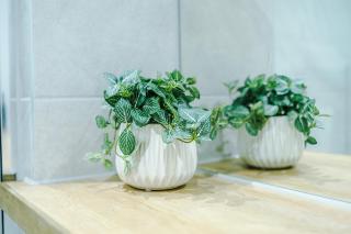 Stylish Leeds City Centre 2 bed with free parking - 3