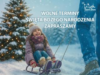 Sowi Dom - Jugów - 0