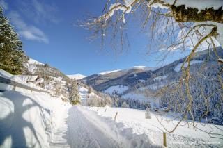 Pension Südhang - 1