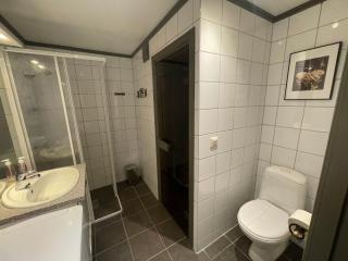 Spacious Retreat With Sauna And Parking - 3