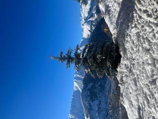 La scierie de la grande ourse - 9